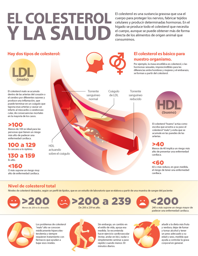 El Colesterol y la salud